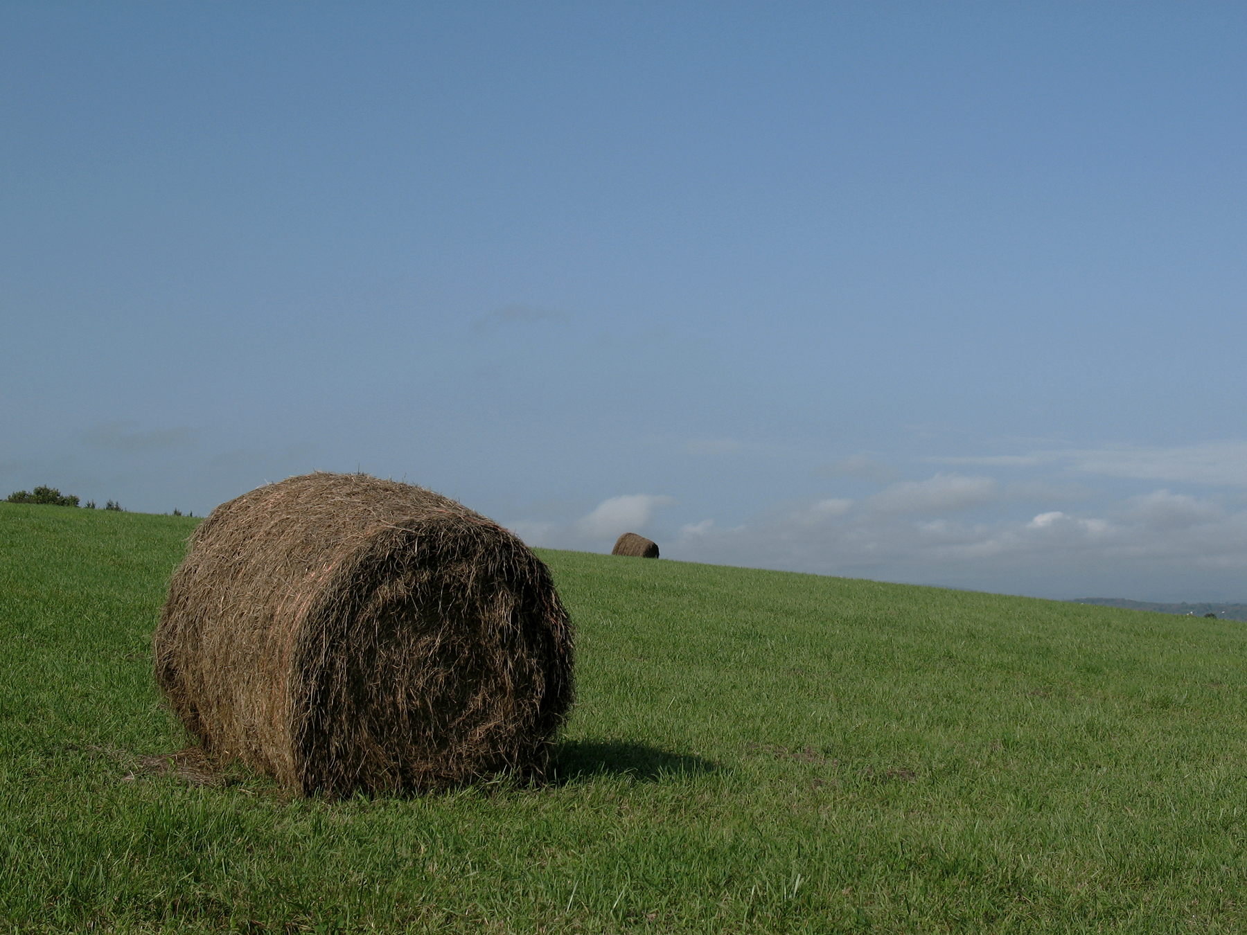 Hay Bale Color